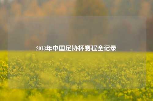 2013年中国足协杯赛程全记录