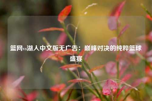 篮网vs湖人中文版无广告：巅峰对决的纯粹篮球盛宴