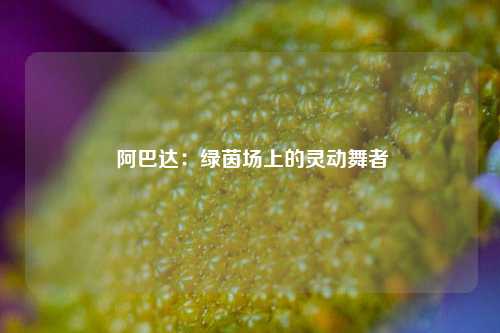 阿巴达:绿茵场上的灵动舞者