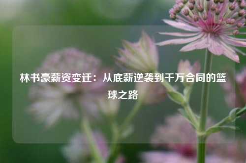 林书豪薪资变迁:从底薪逆袭到千万合同的篮球之路