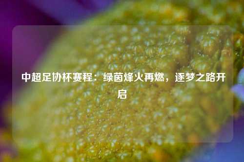 中超足协杯赛程:绿茵烽火再燃,逐梦之路开启