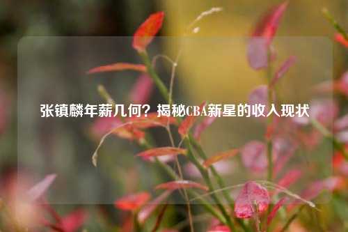 张镇麟年薪几何？揭秘CBA新星的收入现状