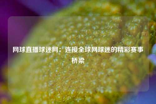 网球直播球迷网：连接全球网球迷的精彩赛事桥梁