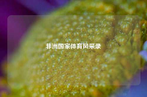 非洲国家体育风采录
