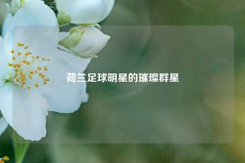 荷兰足球明星的璀璨群星
