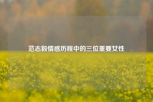 范志毅情感历程中的三位重要女性