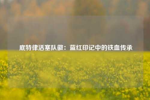 底特律活塞队徽:蓝红印记中的铁血传承