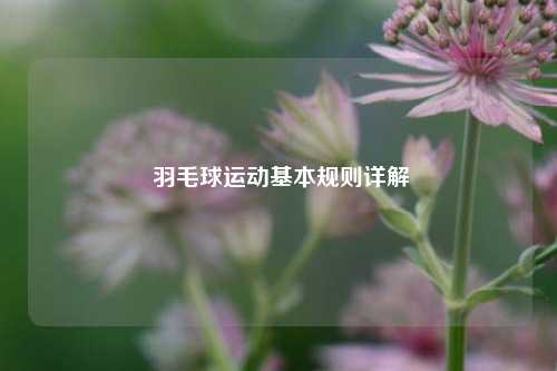  羽毛球运动基本规则详解