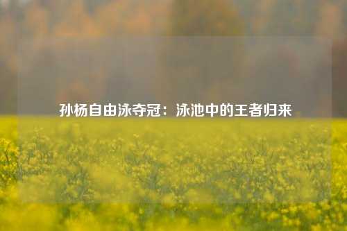 孙杨自由泳夺冠:泳池中的王者归来