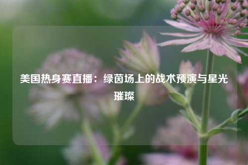 美国热身赛直播:绿茵场上的战术预演与星光璀璨