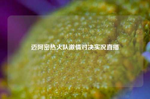 迈阿密热火队激情对决实况直播