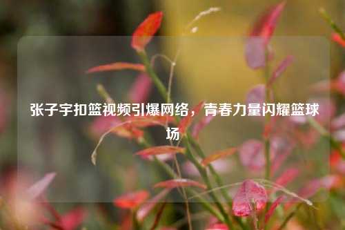 张子宇扣篮视频引爆网络,青春力量闪耀篮球场