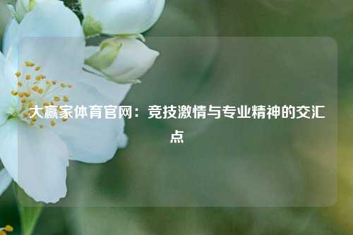 大赢家体育官网：竞技激情与专业精神的交汇点