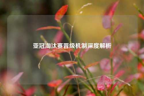 亚冠淘汰赛晋级机制深度解析