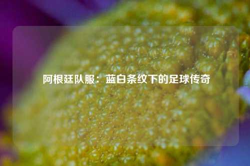  阿根廷队服：蓝白条纹下的足球传奇