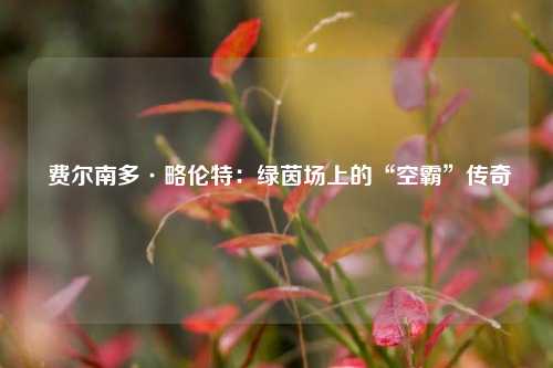  费尔南多·略伦特：绿茵场上的“空霸”传奇