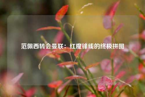 范佩西转会曼联：红魔锋线的终极拼图